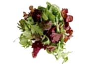 Karışık Maskolin Salata