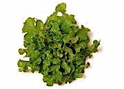 Bol Salat
