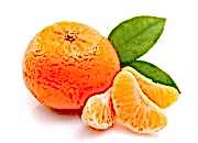 Mandalina