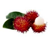 Rambutan